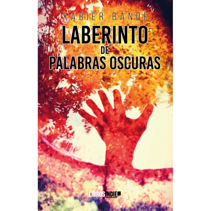 EL LABERINTO DE LAS PALABRAS OSCURAS