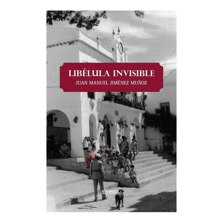 LIBELULA INVISIBLE