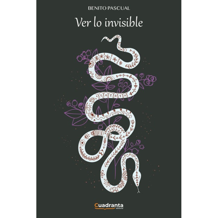 VER LO INVISIBLE