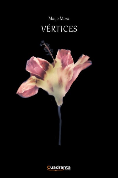 VERTICES