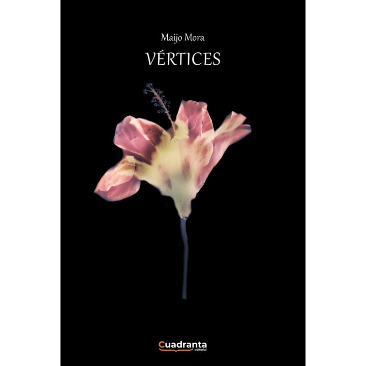 VERTICES