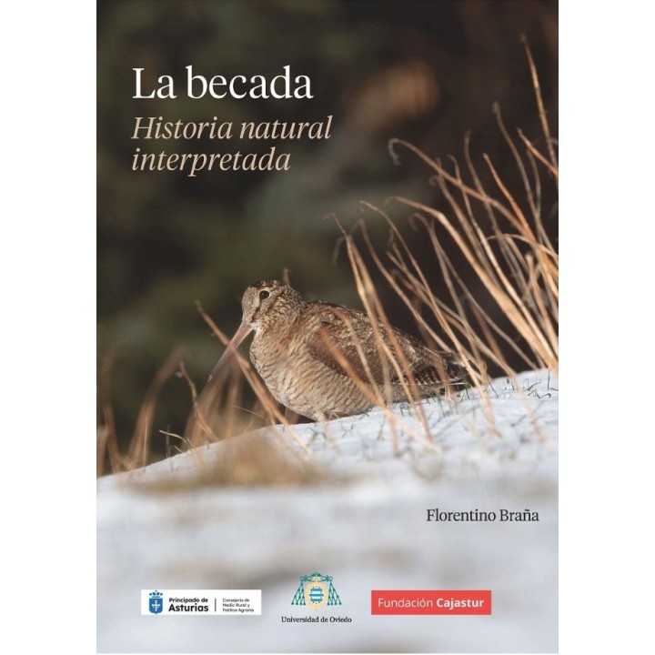 LA BECADA