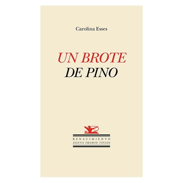 UN BROTE DE PINO