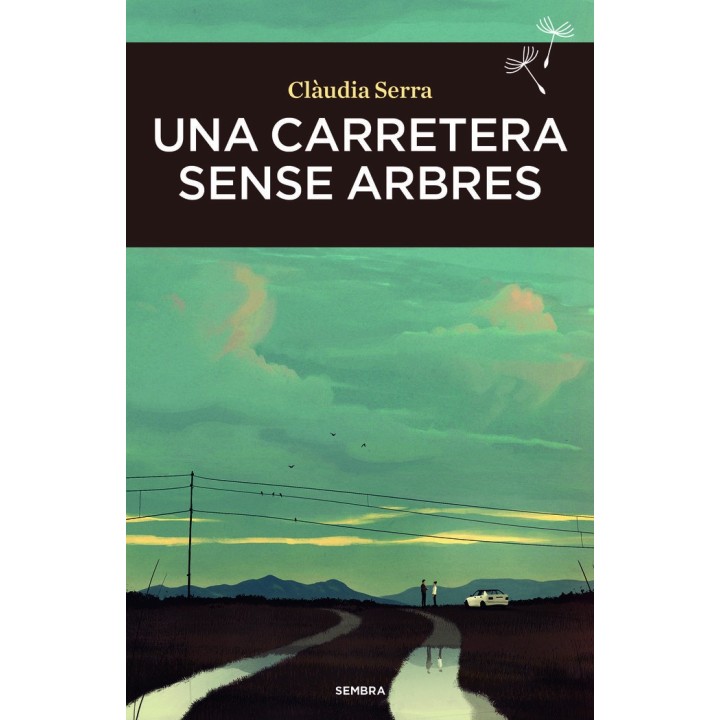 UNA CARRETERA SENSE ARBRES
