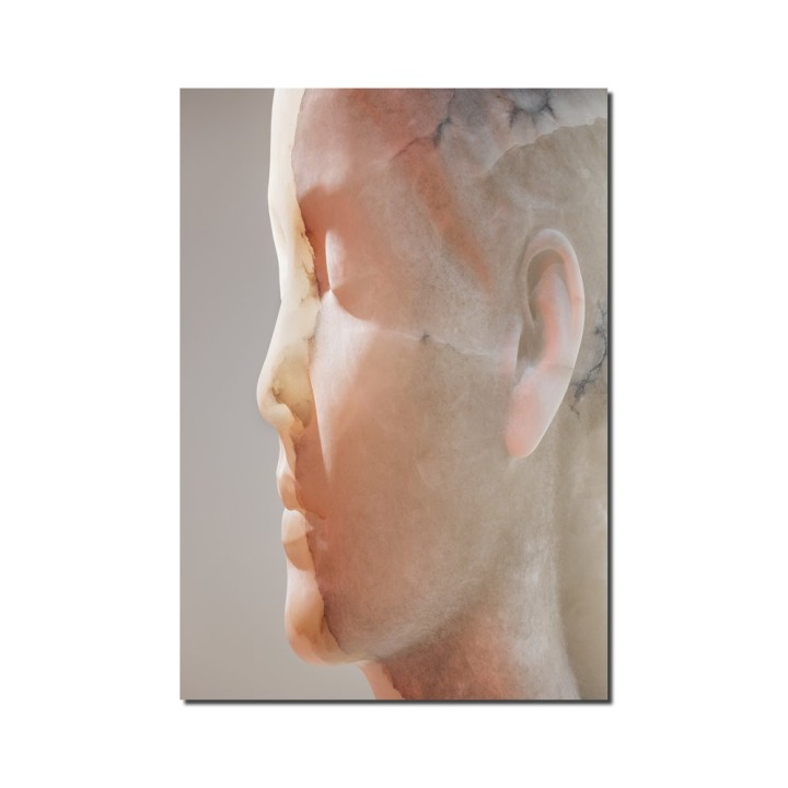 JAUME PLENSA INNER MATTER MATERIA INTERIOR