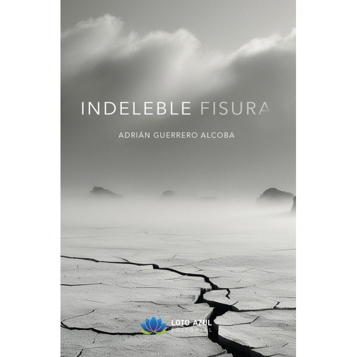 INDELEBLE FISURA