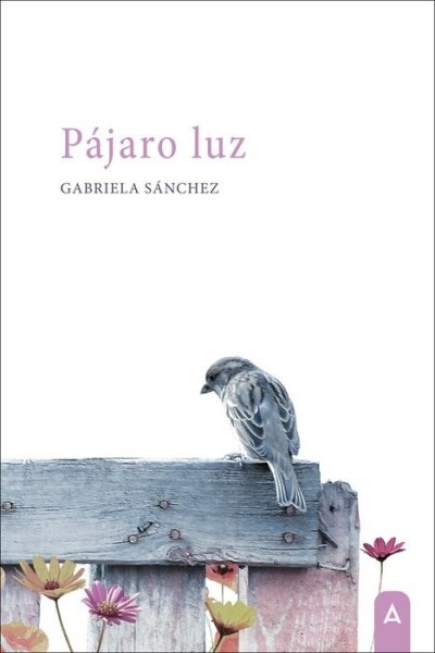 PAJARO LUZ