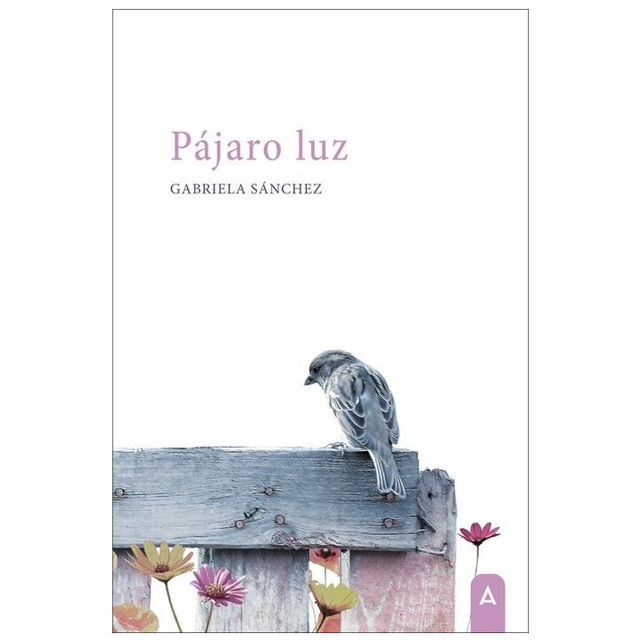 PAJARO LUZ