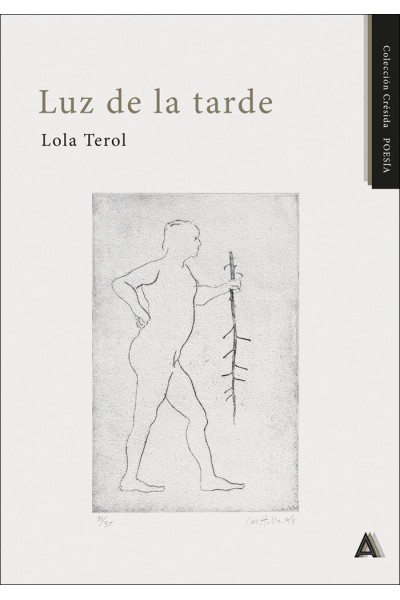 LUZ DE LA TARDE