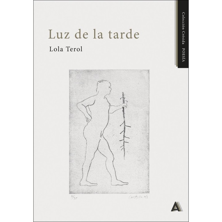 LUZ DE LA TARDE