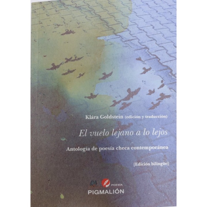 EL VUELO LEJANO A LO LEJOS