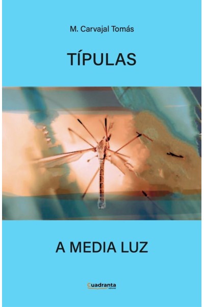 TIPULAS A MEDIA LUZ