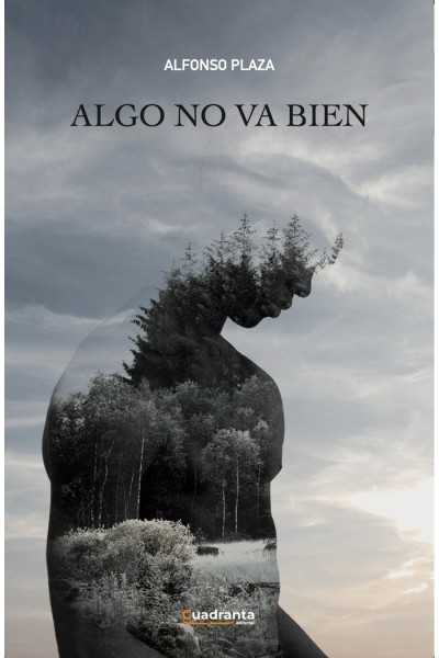 ALGO NO VA BIEN