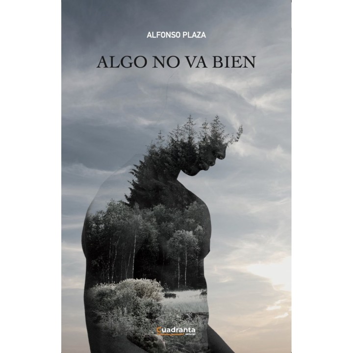 ALGO NO VA BIEN