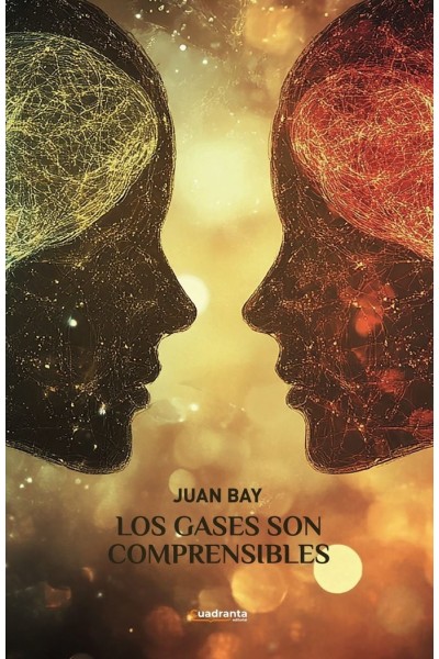 LOS GASES SON COMPRENSIBLES