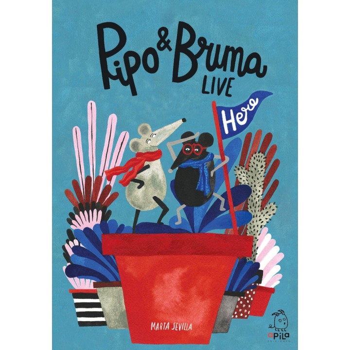 PIPO & BRUMA LIVE HERE