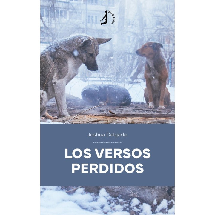 LOS VERSOS PERDIDOS