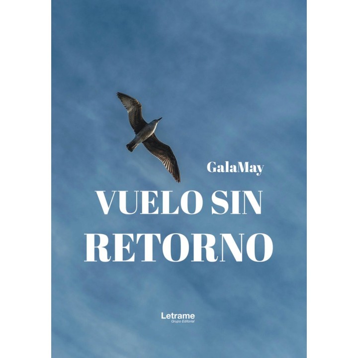 VUELO SIN RETORNO