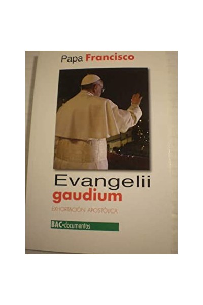Evangelii Gaudium. Exhortación apostólica