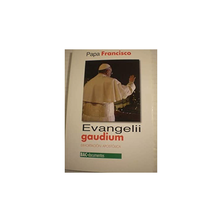 Evangelii Gaudium. Exhortación apostólica