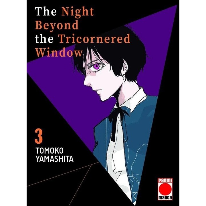 NIGHT BEYOND THE TRICORNERED WINDOW 3
