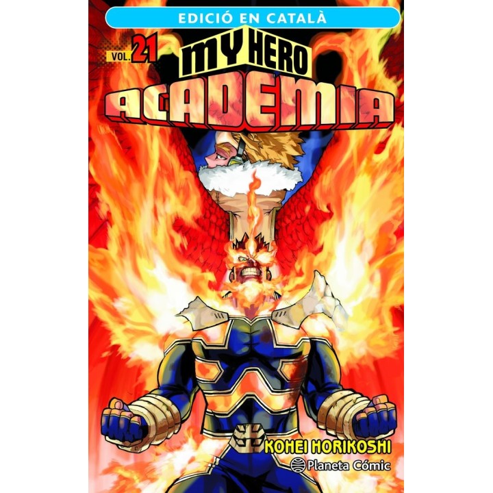 MY HERO ACADEMIA 21