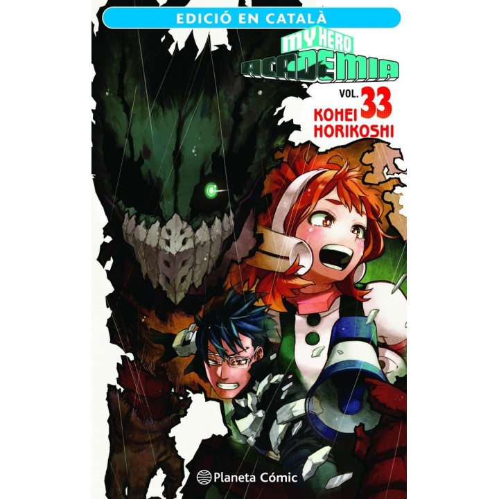 MY HERO ACADEMIA 33