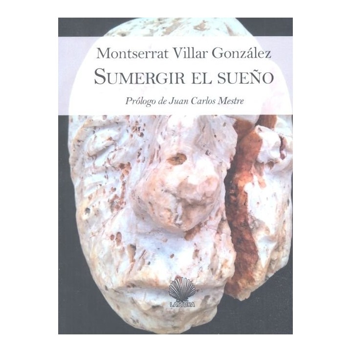 SUMERGIR EL SUEÑO