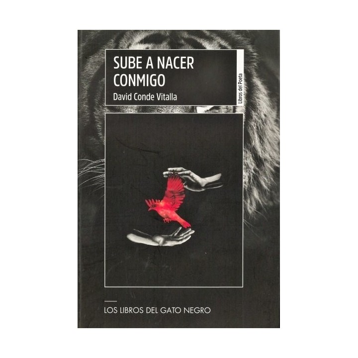 SUBE A NACER CONMIGO