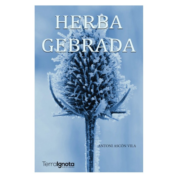 HERBA GEBRADA