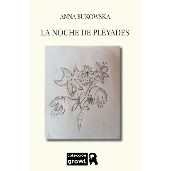 LA NOCHE DE PLEYADES