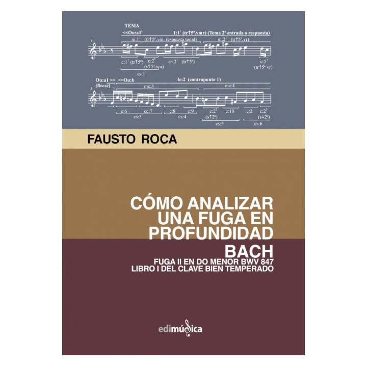 COMO ANALIZAR UNA FUGA EN PROFUNDIDAD