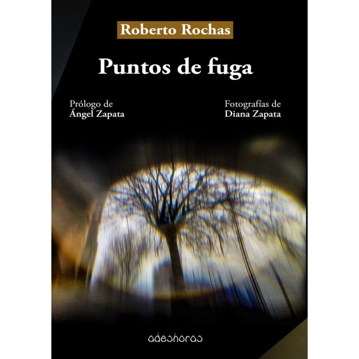 PUNTOS DE FUGA