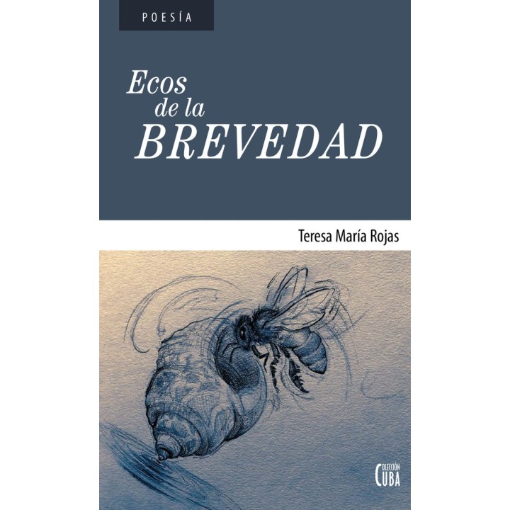 ECOS DE LA BREVEDAD