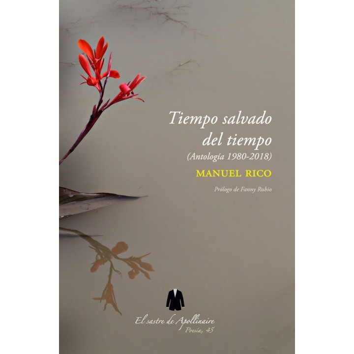 TIEMPO SALVADO DEL TIEMPO