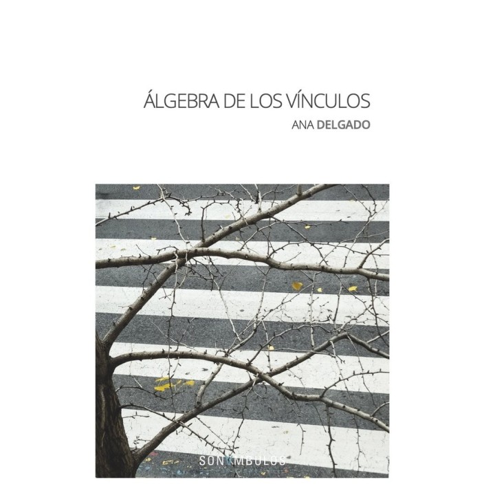 ALGEBRA DE LOS VINCULOS