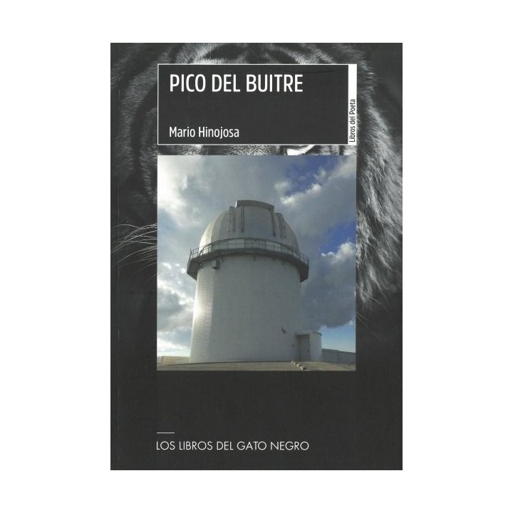 PICO DEL BUITRE