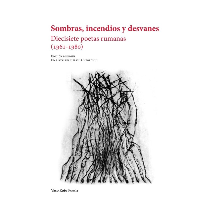 SOMBRAS INCENDIOS Y DESVANES