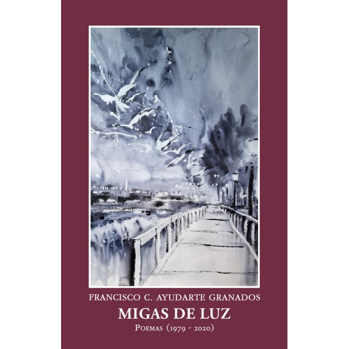 MIGAS DE LUZ