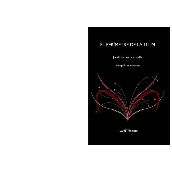 PERIMETRE DE LA LLUM,EL