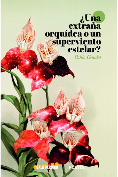 UNA ORQUIDEA SALVAJE O UN VIENTO SUPERESTELAR