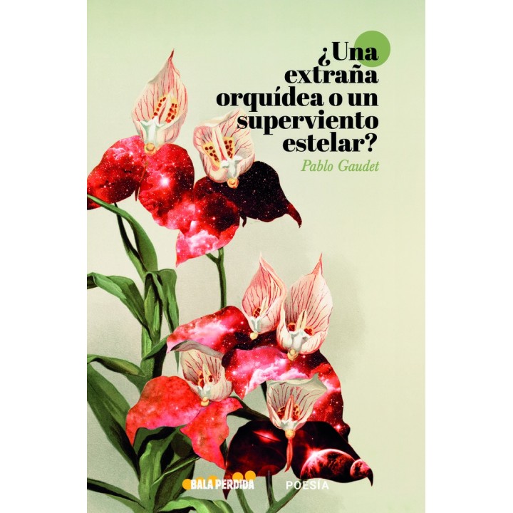 UNA ORQUIDEA SALVAJE O UN VIENTO SUPERESTELAR