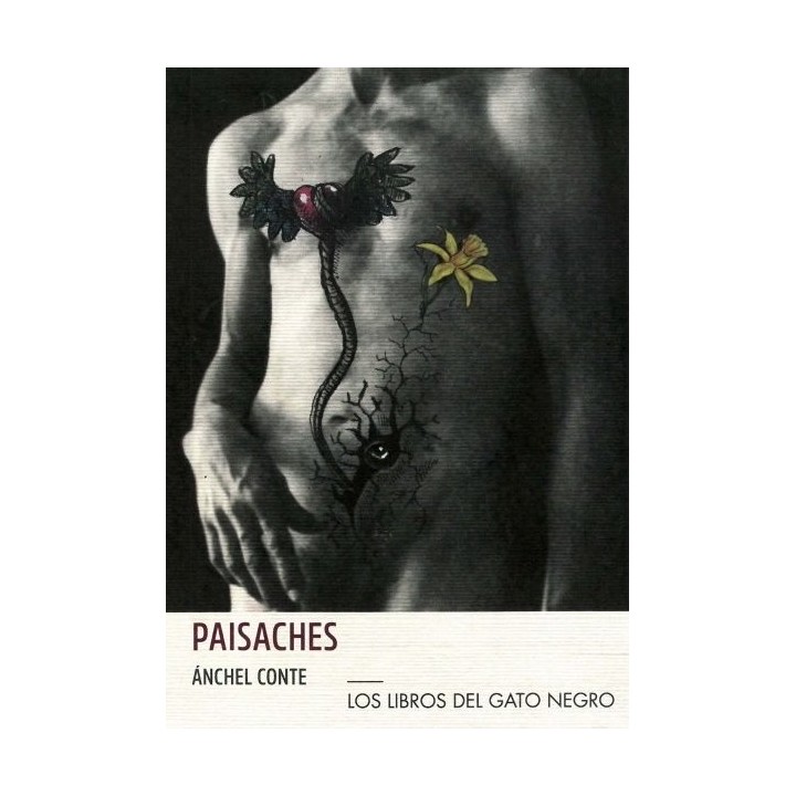 PAISACHES PAISAJES