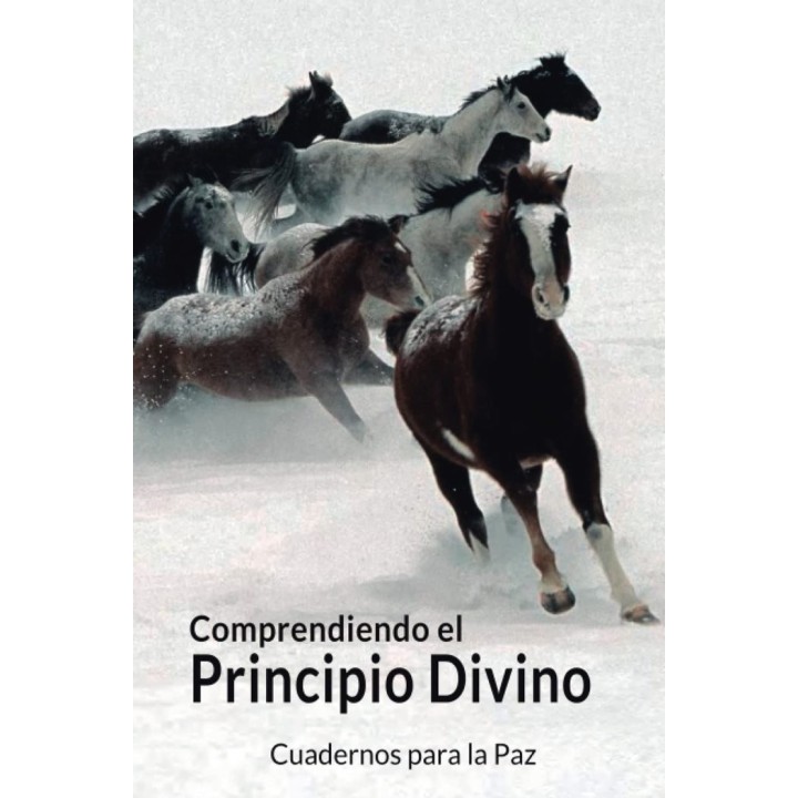 COMPRENDIENDO EL PRINCIPIO DIVINO