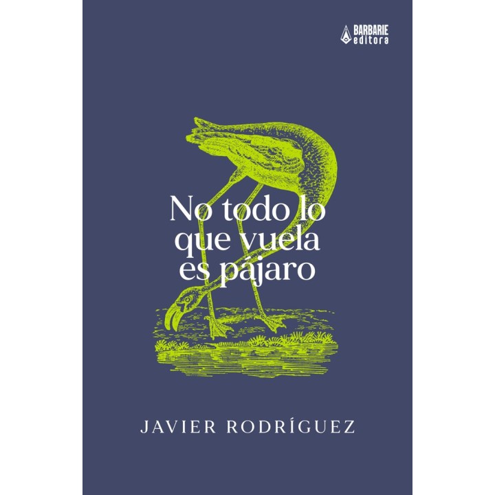 NO TODO LO QUE VUELA ES PAJARO