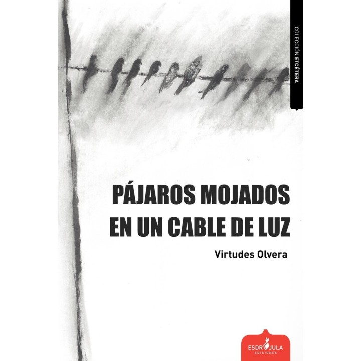 PAJAROS MOJADOS EN UN CABLE DE LUZ