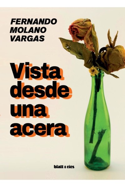 VISTA DESDE UNA ACERA