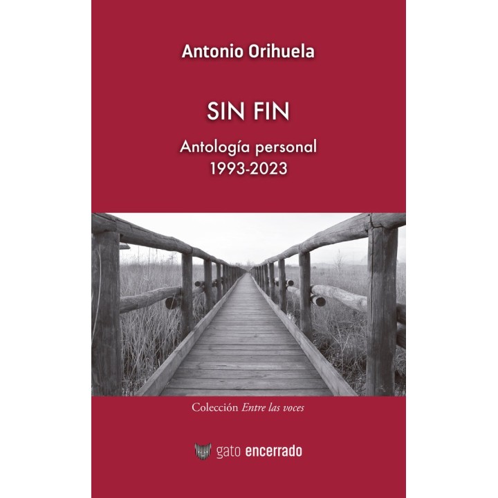 SIN FIN