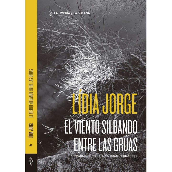 VIENTO SILBANDO ENTRE LAS GRUAS,EL