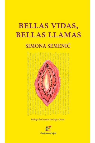 BELLAS VIDAS BELLAS LLAMAS